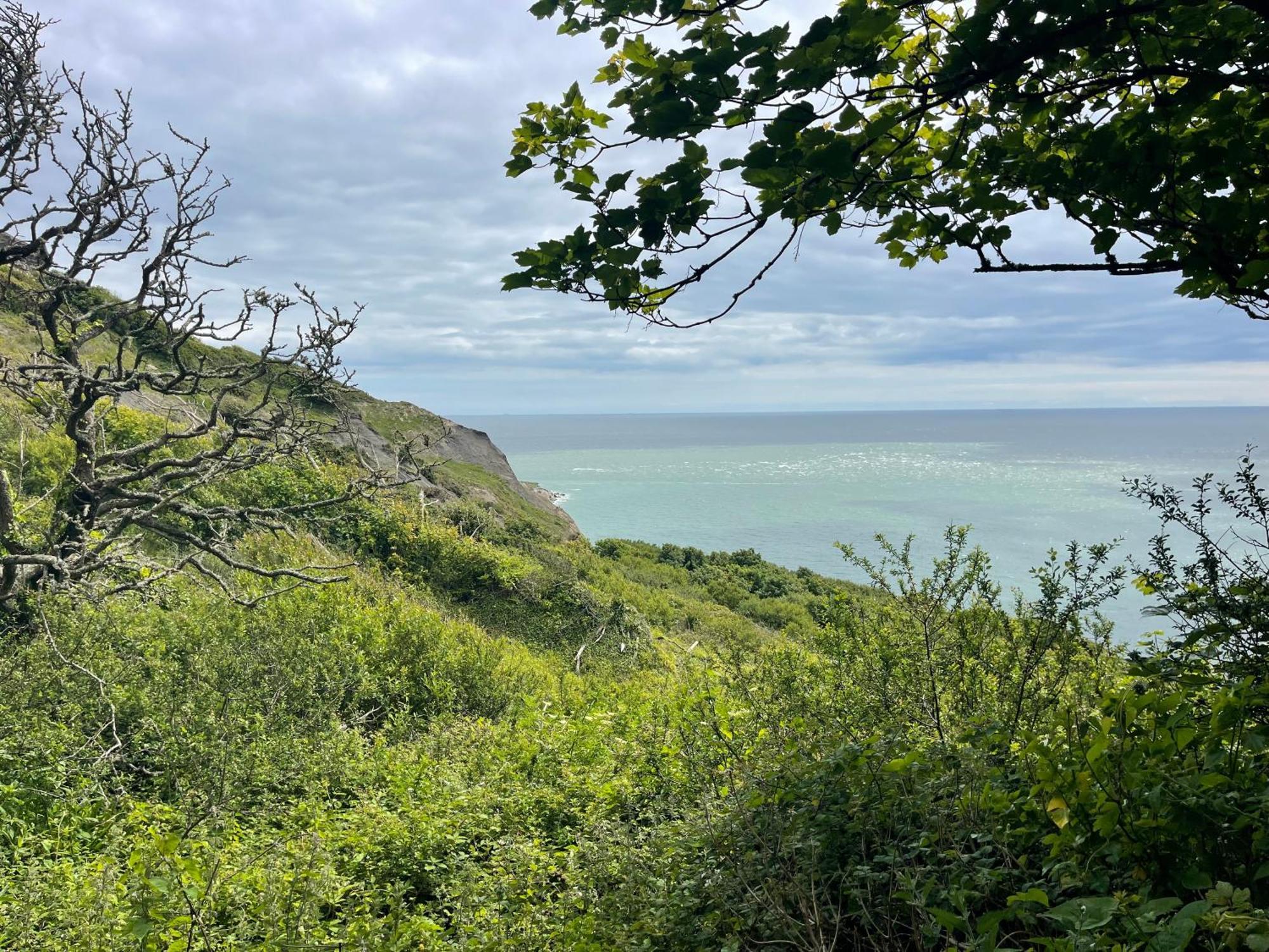 Wightholiday Ryde  Exteriér fotografie